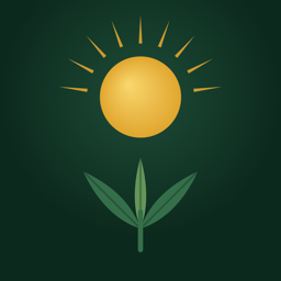Solspot icon