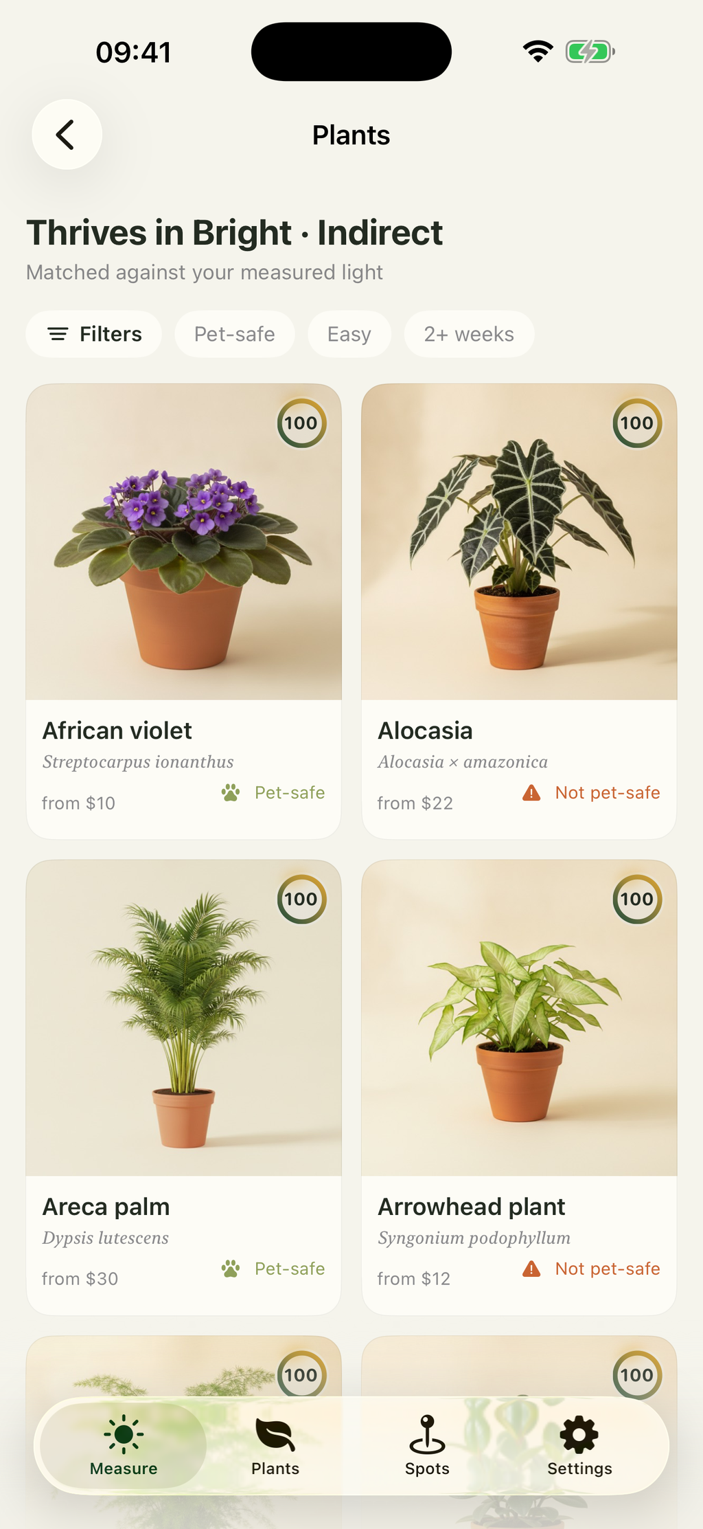 Solspot screenshot 3